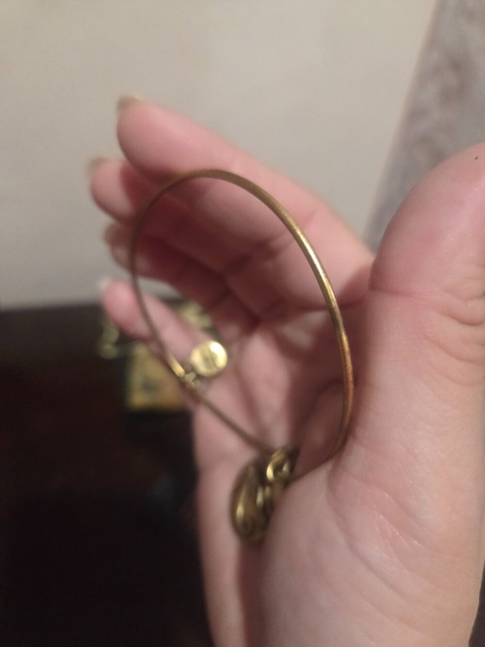 Alex and ani eye of horus bracelet - Picture 9 of 9